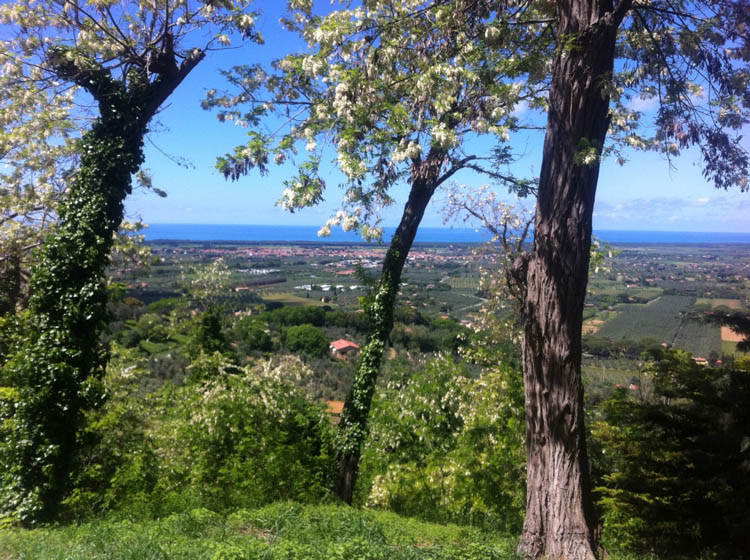 
View from Castagneto Carducci